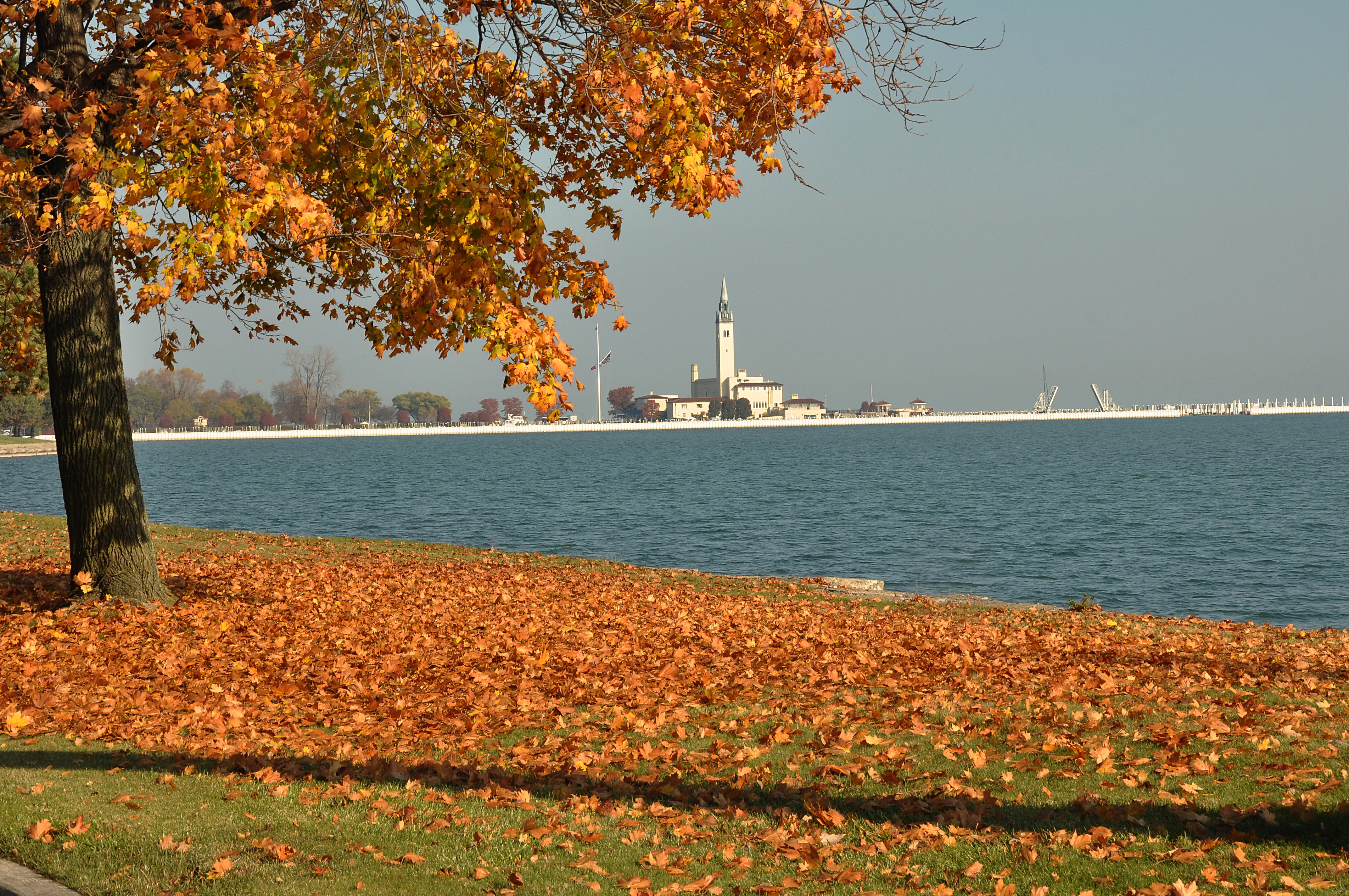 Fall GPYC shot