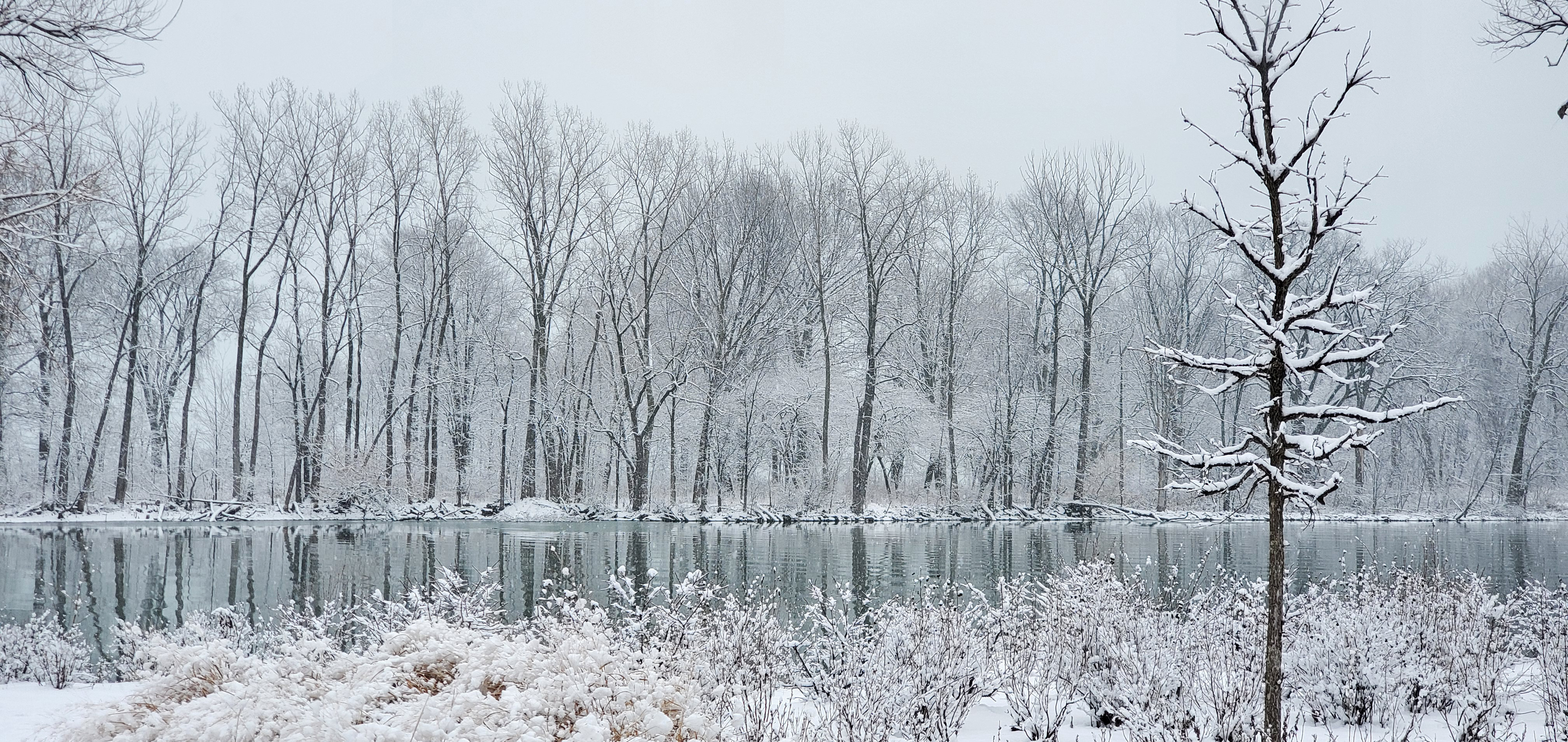 Snow in the cove 2026